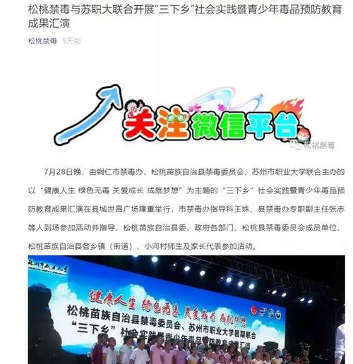 松桃信息港今日爆料,揭秘今日热点事件内幕